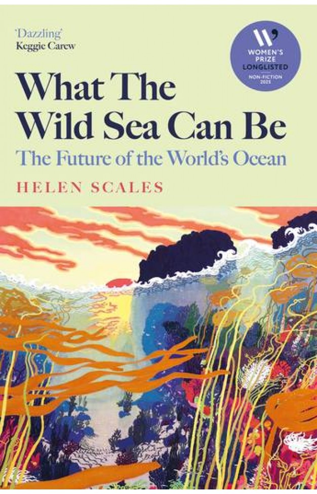 What the Wild Sea Can Be - The Future of the Worlds Ocean